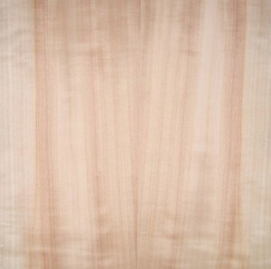 Quarter fig Euro Aspen 2