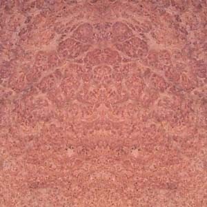 amboyna-burl amboyna-burl