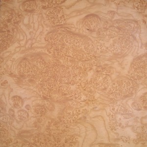 ash-white-burl-cluster