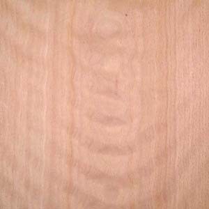 beech-fc-fig-tractortire