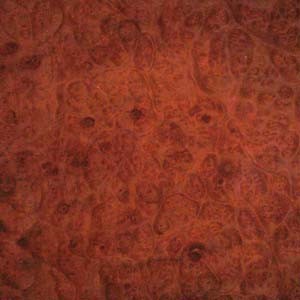 camphor-burl-2