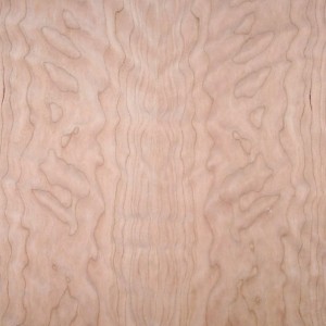 cherry-fc-fig-5