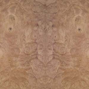 chestnut-burl-3