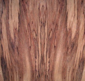 etimoe marble 2