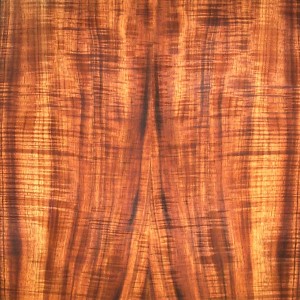 koa-qtr-fig-3
