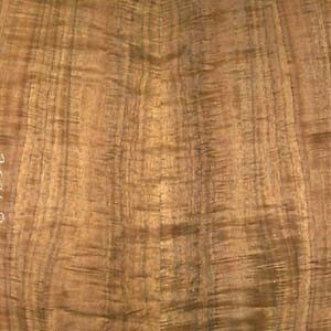 koa-qtr-fig