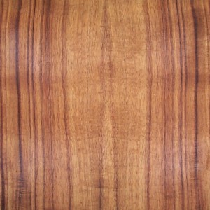 koa-qtr.-2