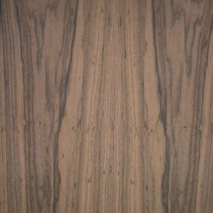 laurel-east-Indian-fc-2