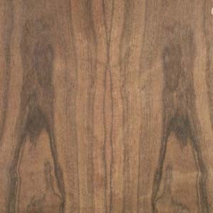 laurel-east-Indian-fc