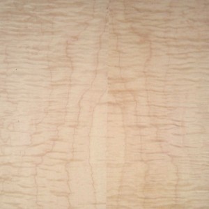 maple-westcoast-fig-2