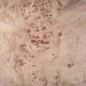 mappa-burl-2