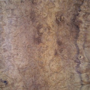 myrtle-burl-10