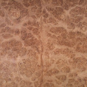 oak-burl-4