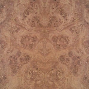 oak-burl-6
