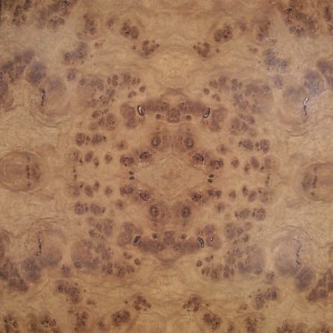 oak-burl-cluster-3