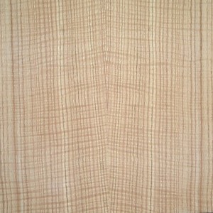 oak-white-qtr-fig-2