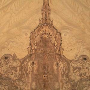olive-ash-burl-3