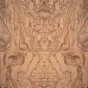 olive-ash-burl-4