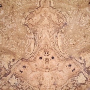 olive-ash-burl-6