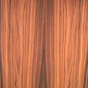 rosewood-santos-fc-8