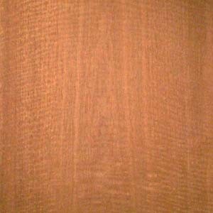 rosewood-santos-fc-5