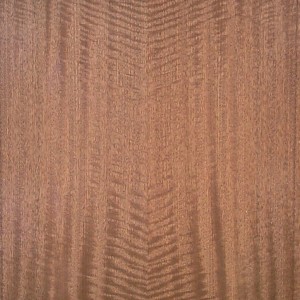 sapele-qtr-fig-4