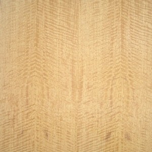 satinwood-qtr-fig-2