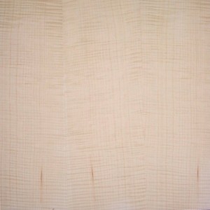 sycamore-euro-qtr.fig