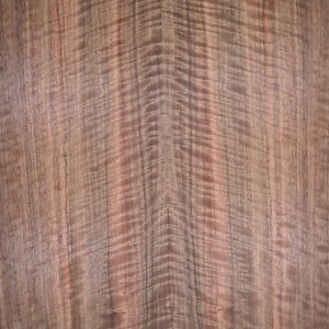 walnut-aus-qtr-fig-9