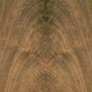 walnut-crotch-2 walnut-crotch-2