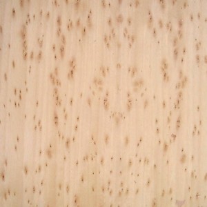 yew-African