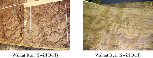 Veneer Education Center