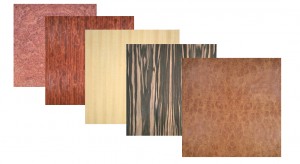 5 veneers laid out together